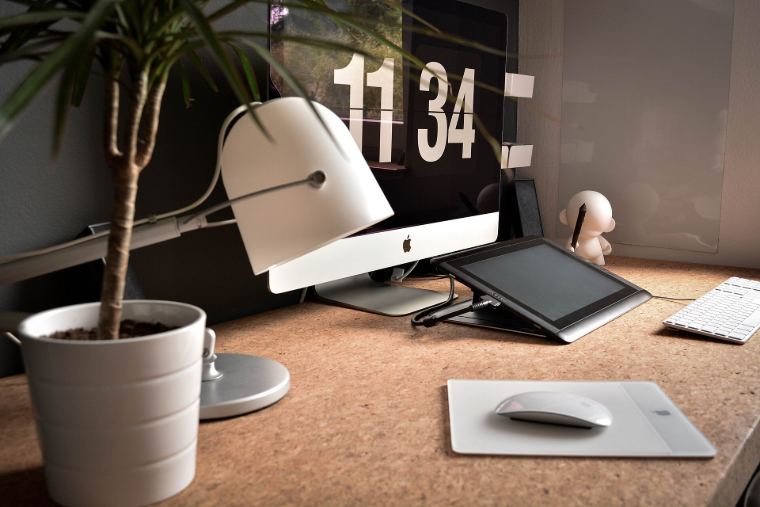 A tidy desk with a plant and a computer